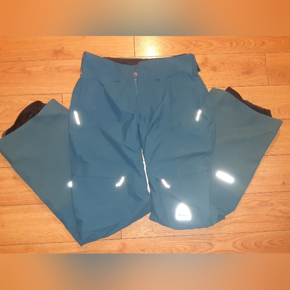 Burton GOR-TEX snowboard pants, women, medium, teal, NWOT